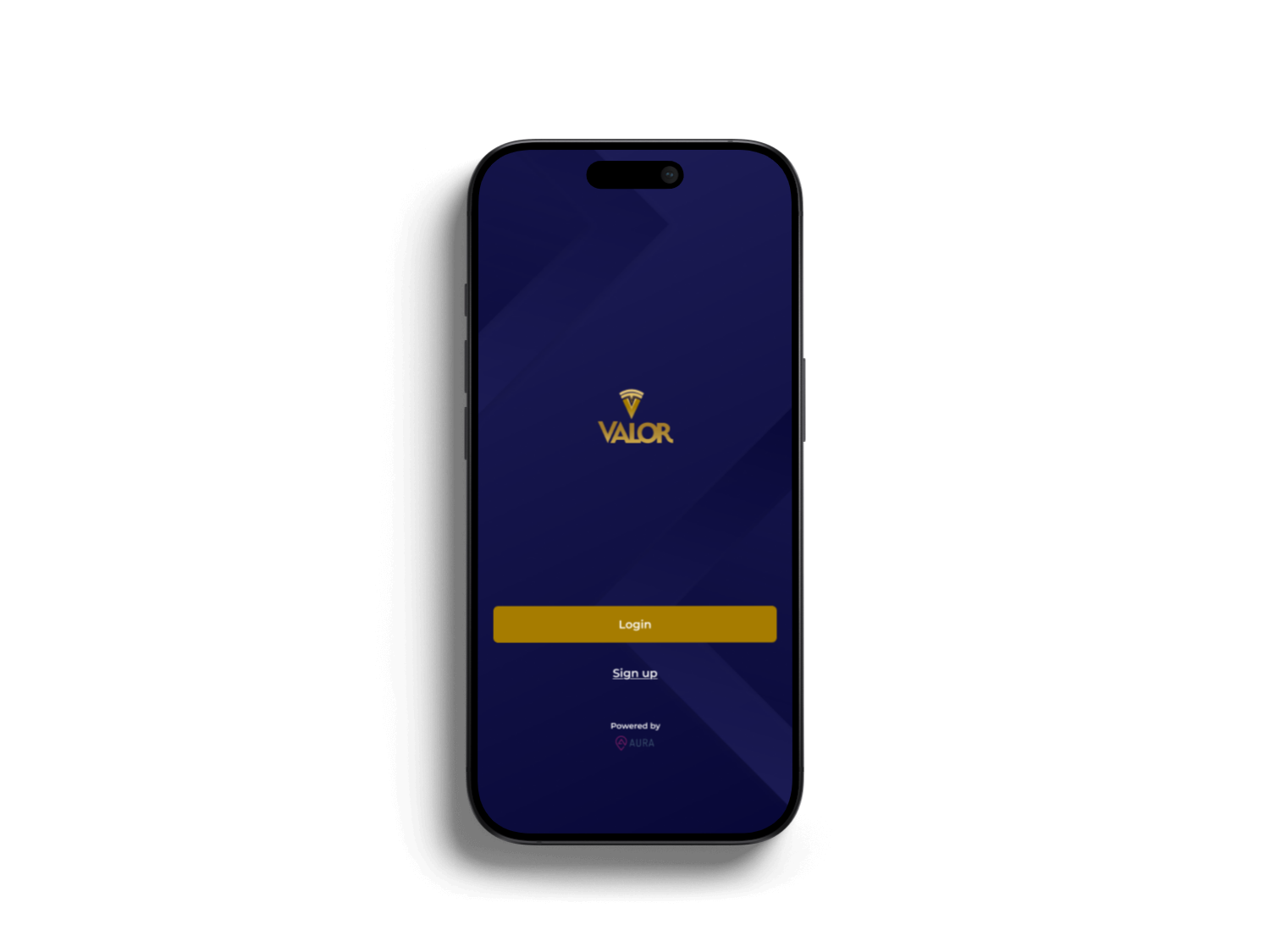 Valor mobile login screen